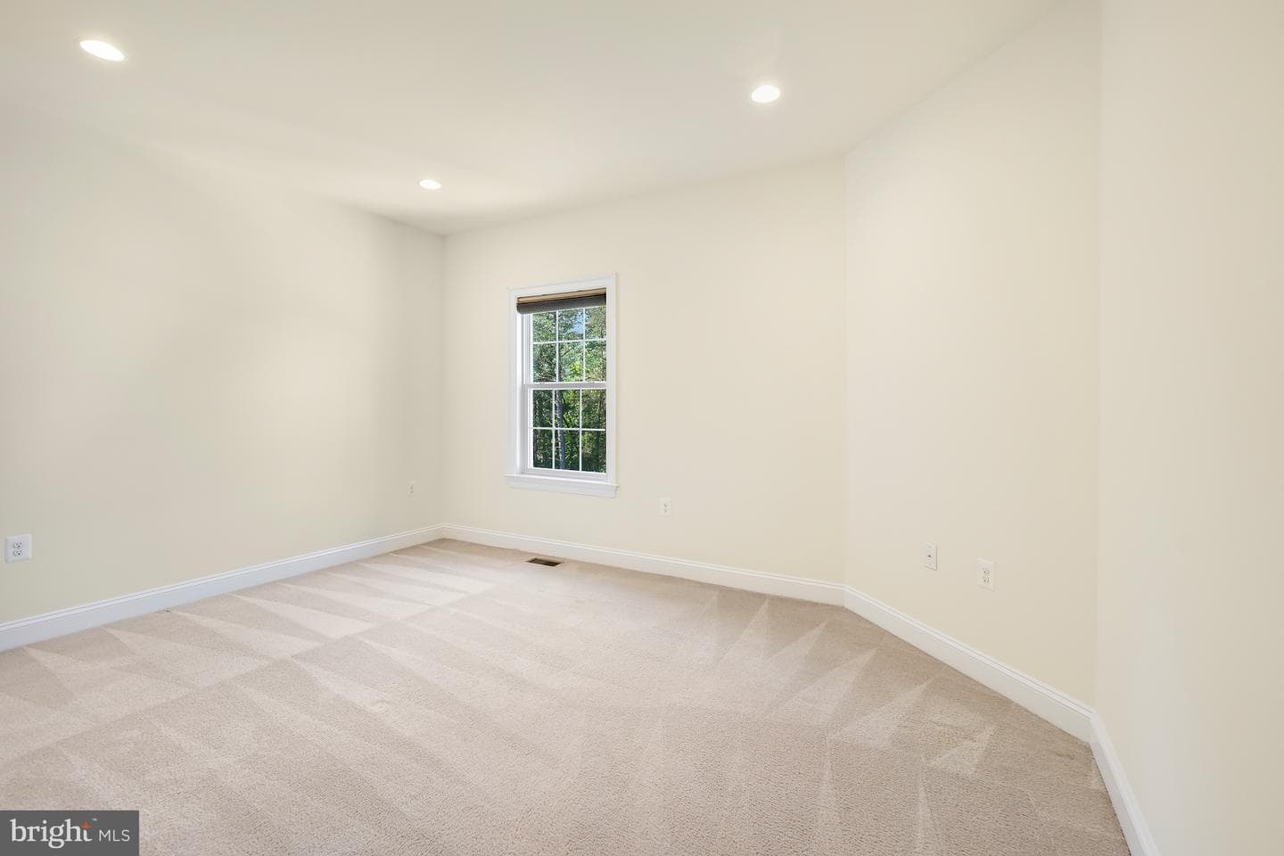42115 Pleasant Forest Court photo 29