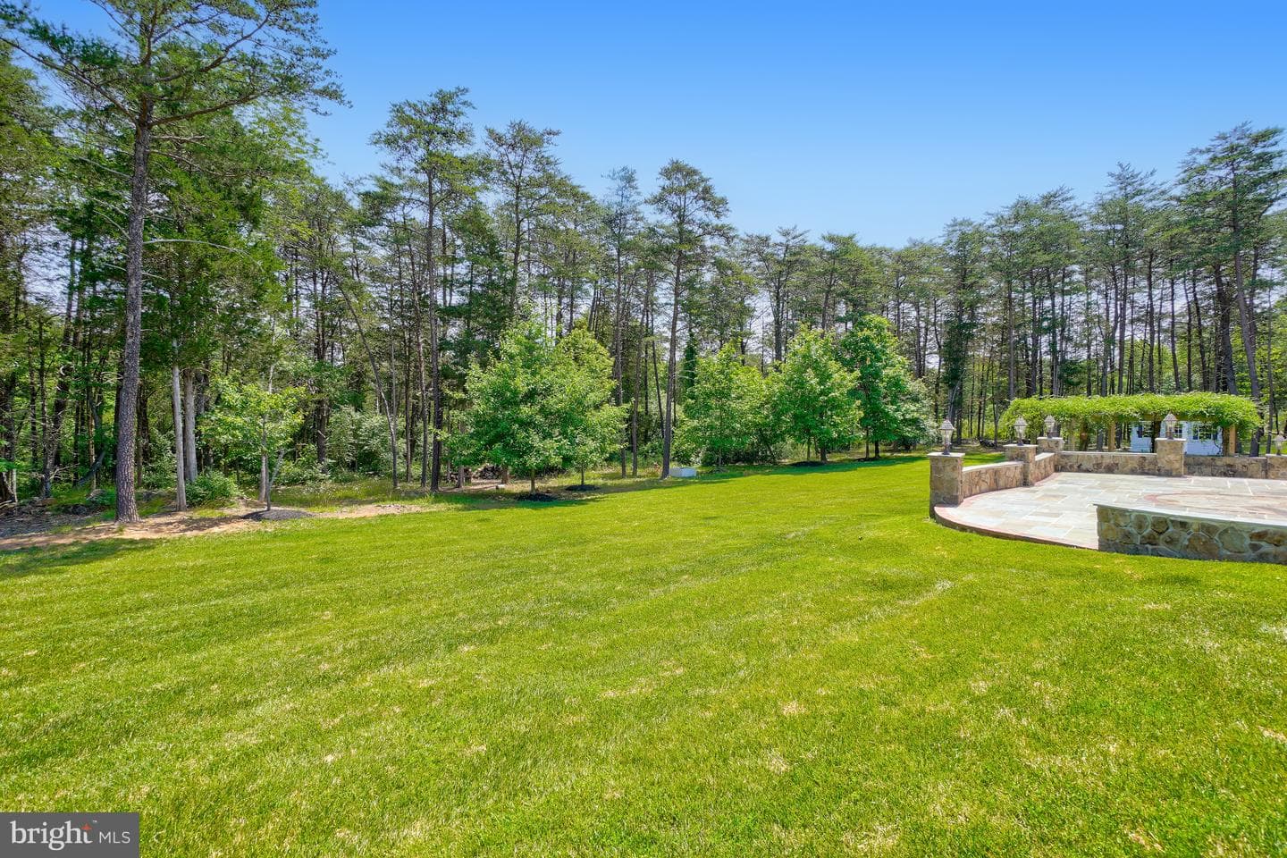 42115 Pleasant Forest Court photo 54