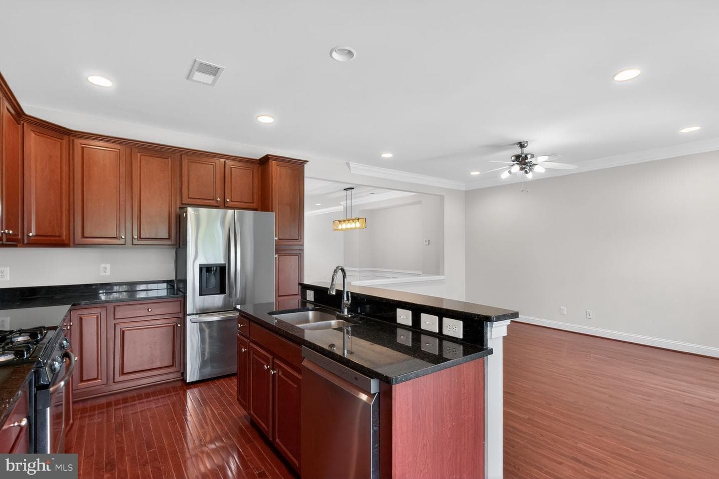 25450 Hopton House Terrace photo 16
