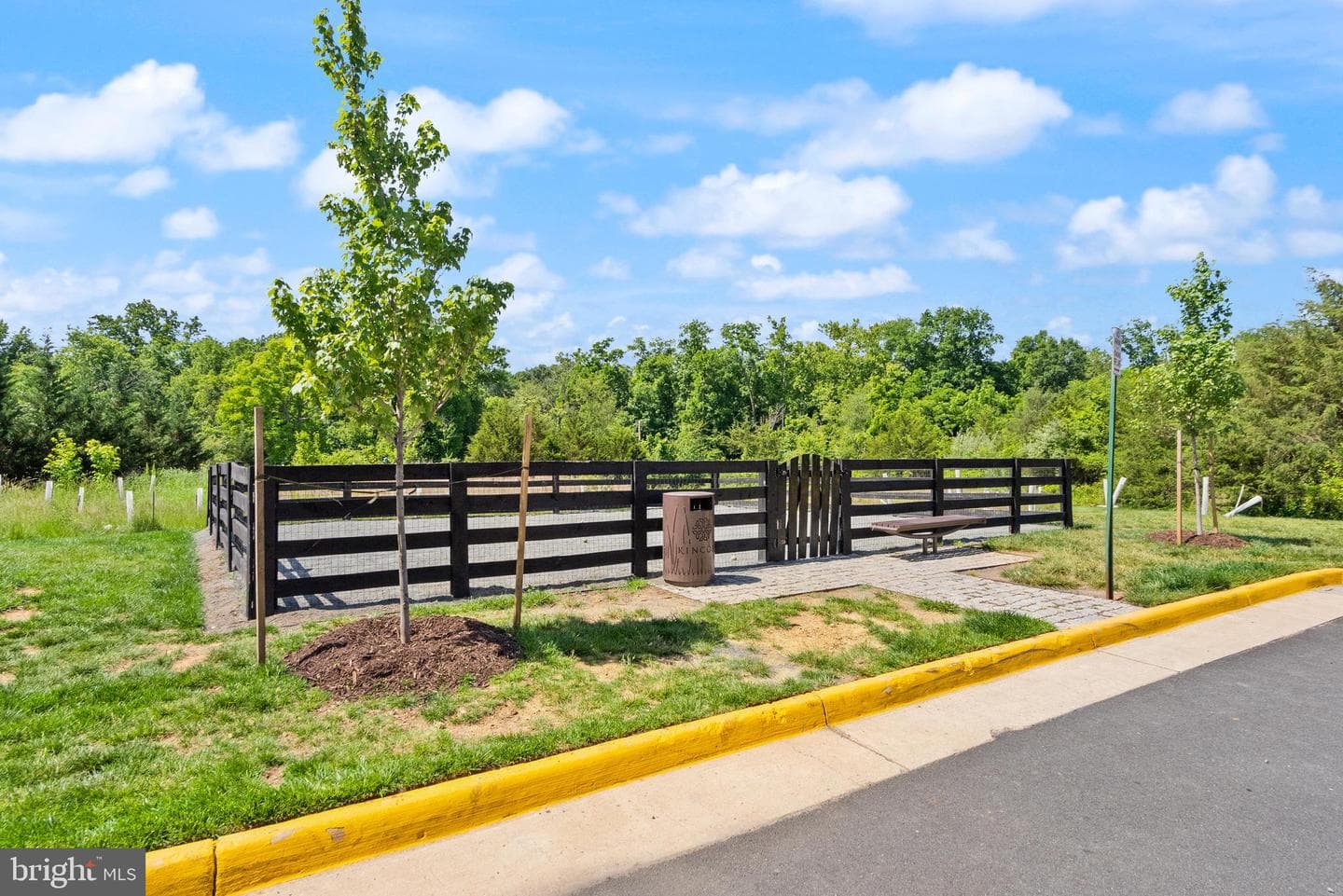 20754 Wood Quay Drive photo 58