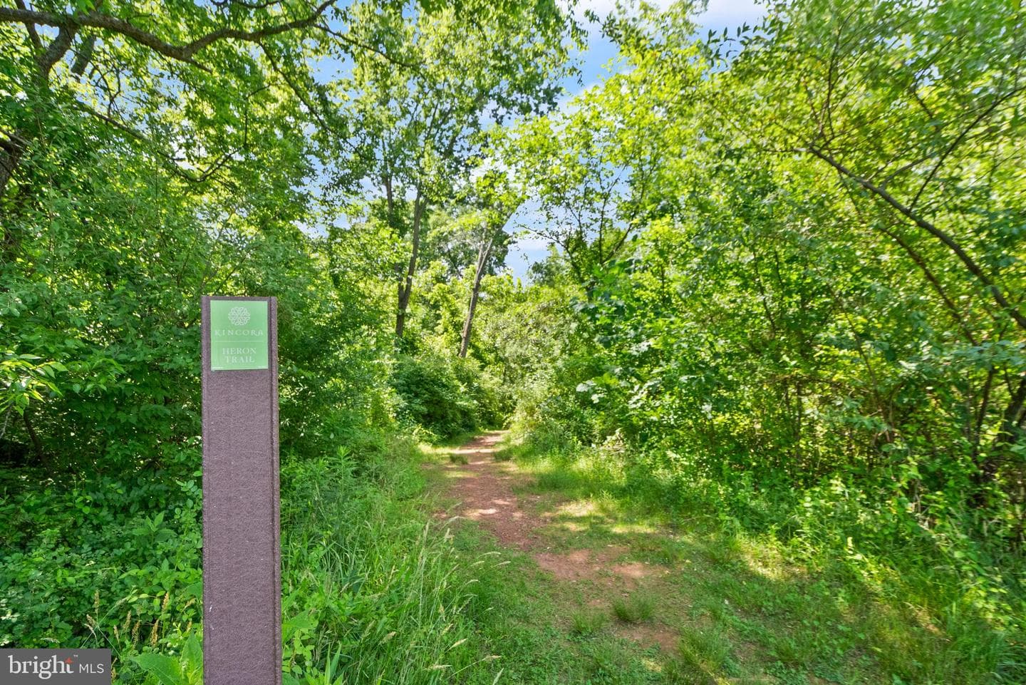 20754 Wood Quay Drive photo 61
