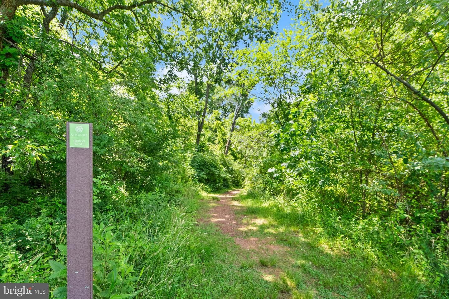 20754 Wood Quay Drive photo 62