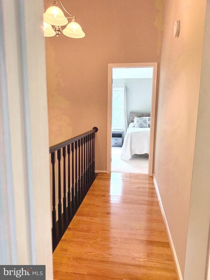 27 Lyndhurst Court photo 14