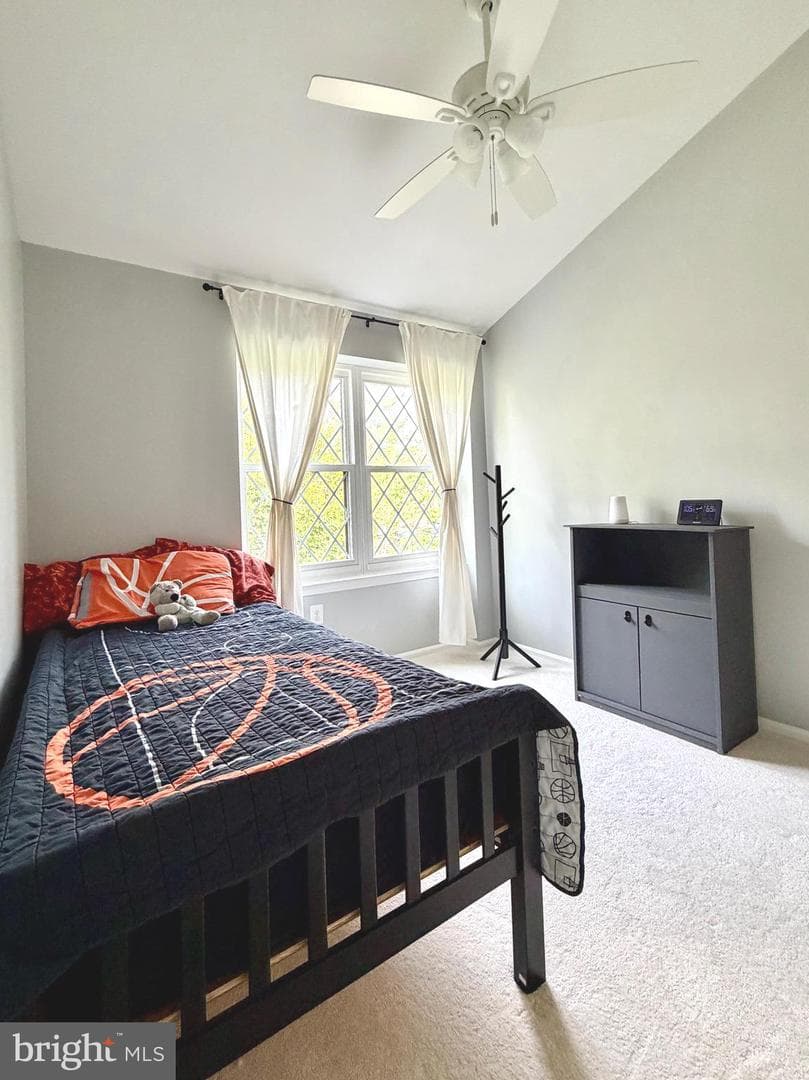 27 Lyndhurst Court photo 20