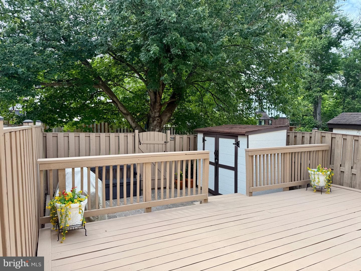 27 Lyndhurst Court photo 34