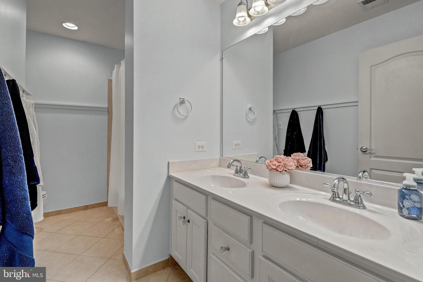 24165 Spring Meadow Circle photo 46