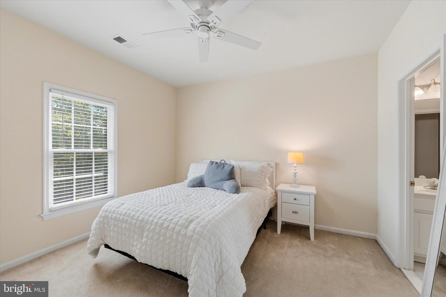 42989 Mill Park Court photo 43