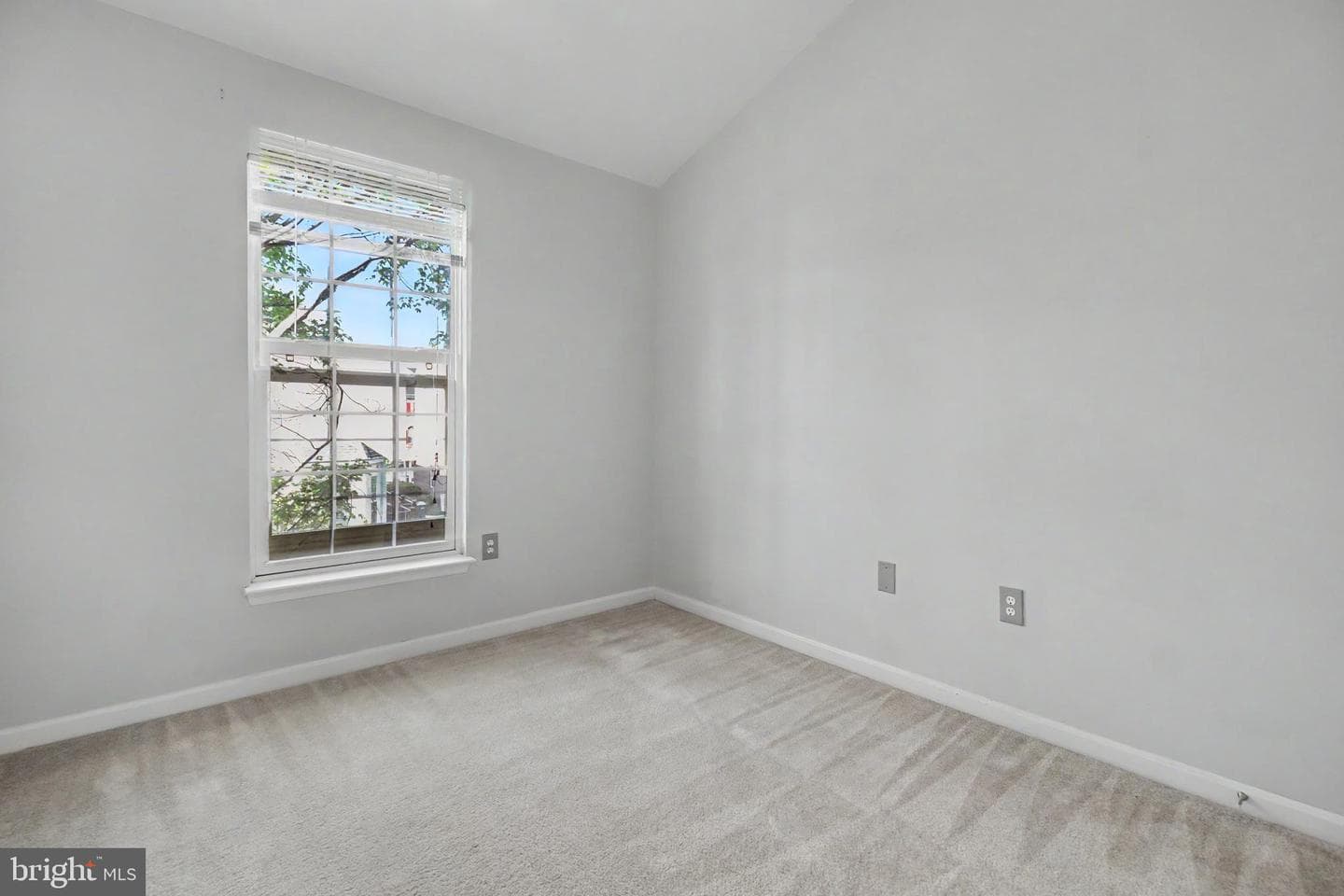 46202 Walpole Terrace photo 20