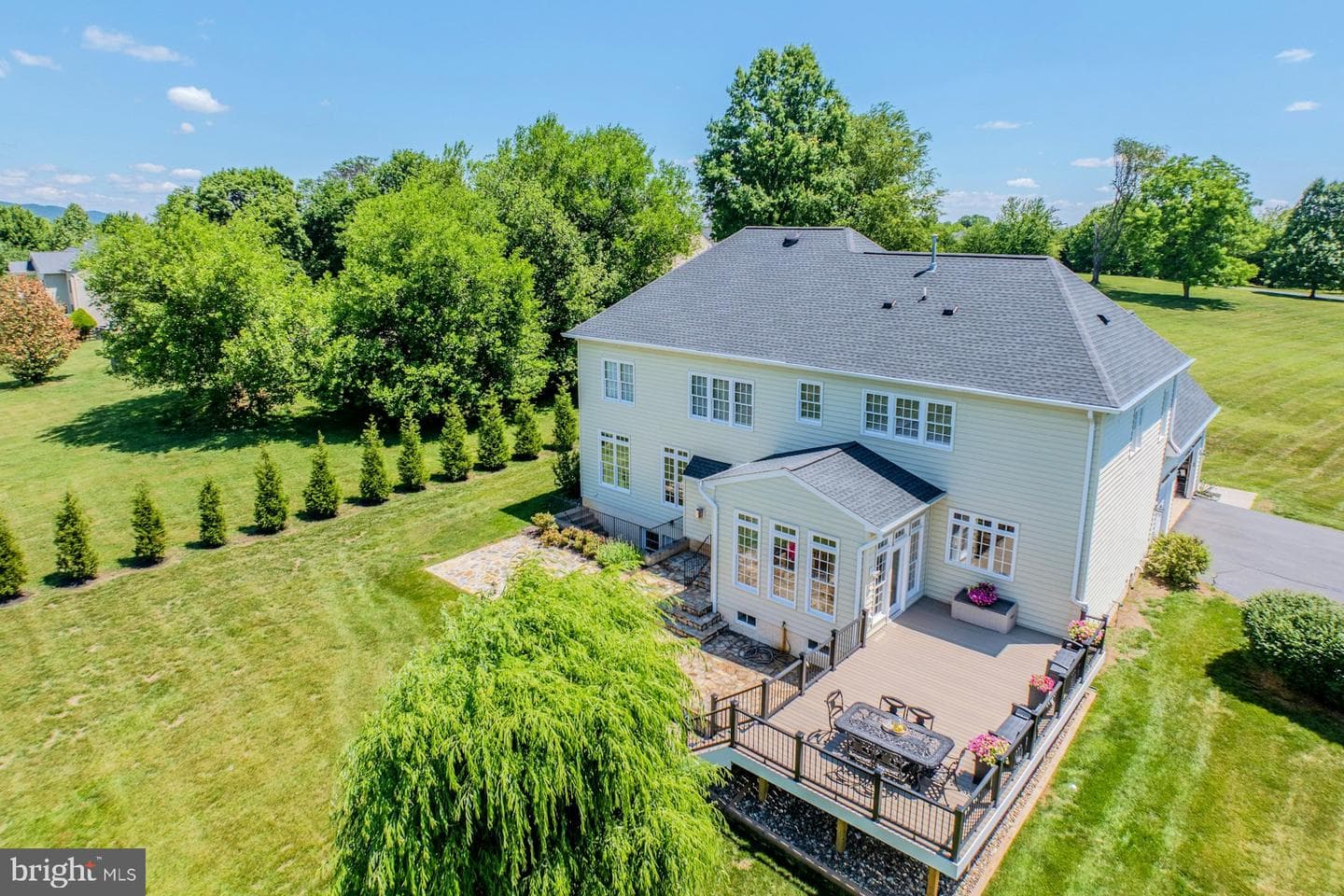 16619 Chestnut Overlook Drive photo 4
