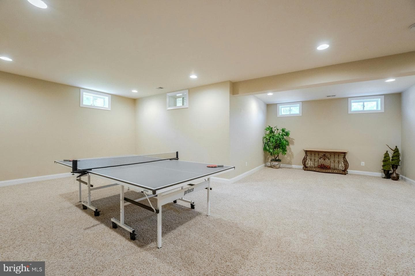 16619 Chestnut Overlook Drive photo 53