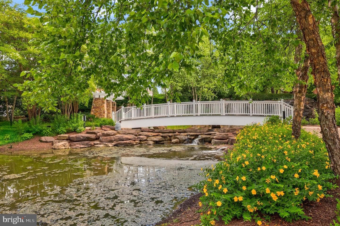 19206 Chartier Drive photo 35