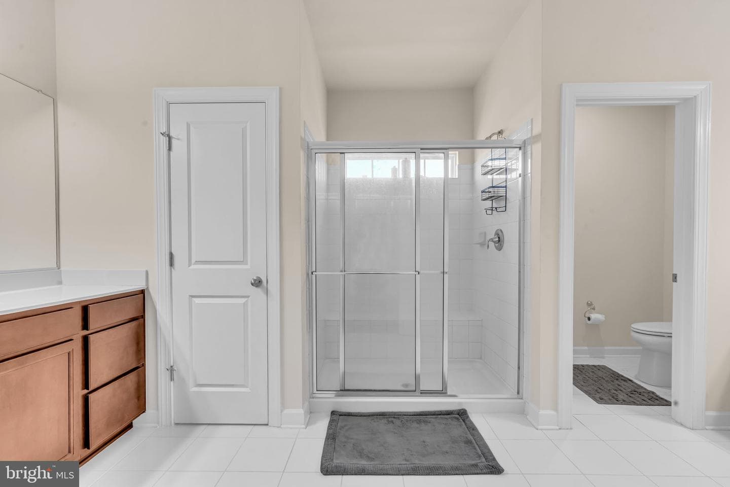 17864 Morning Bird Place photo 68