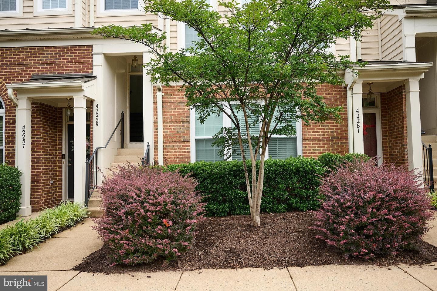 42259 Terrazzo Terrace photo 2