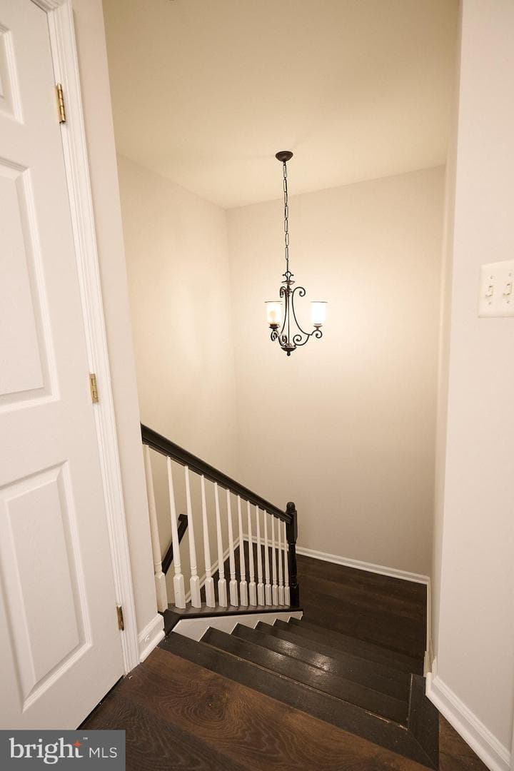 42259 Terrazzo Terrace photo 27