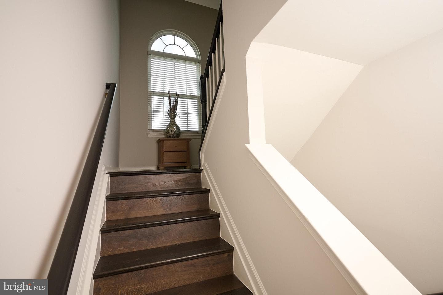 42259 Terrazzo Terrace photo 3