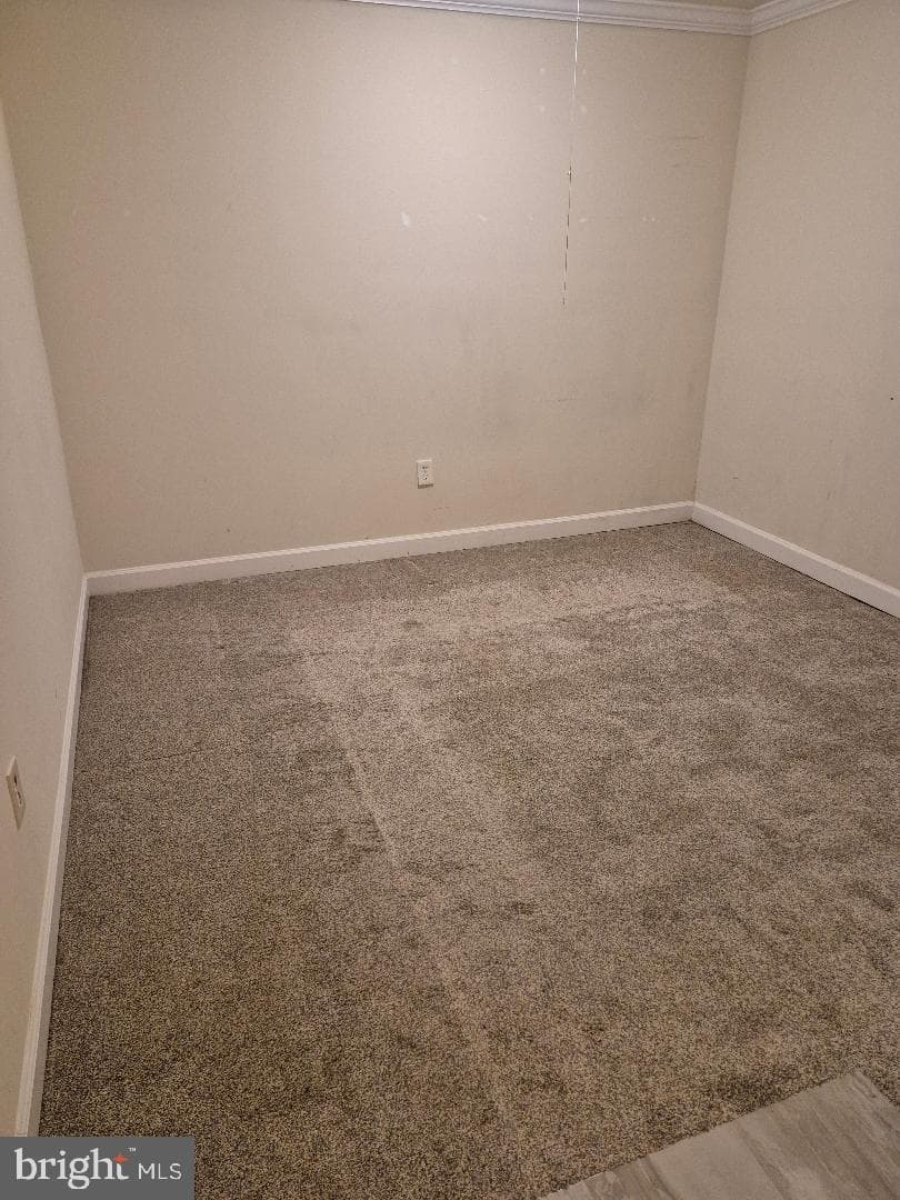 306 Giles Place photo 11