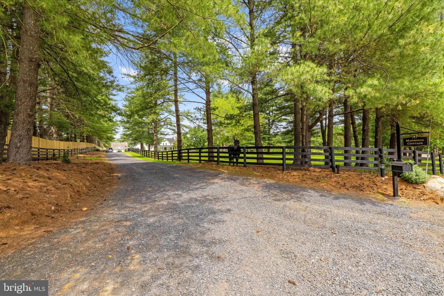 21185 St Louis Road photo 80