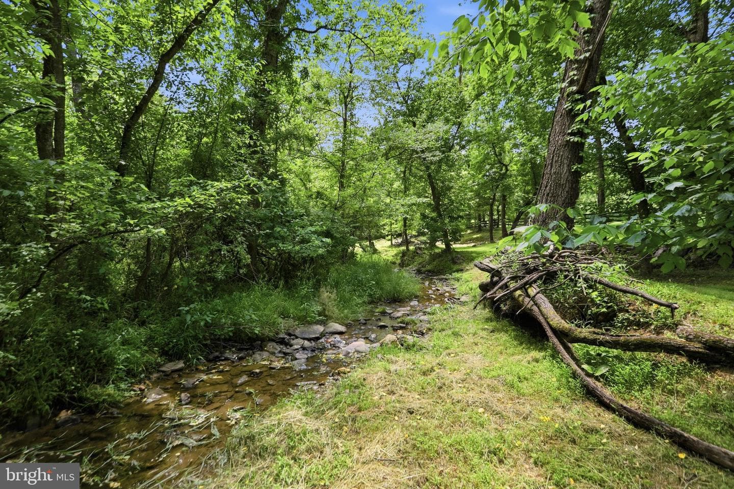34294 Bridgestone Lane photo 82