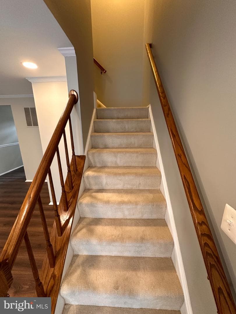 123 Bickel Court photo 25