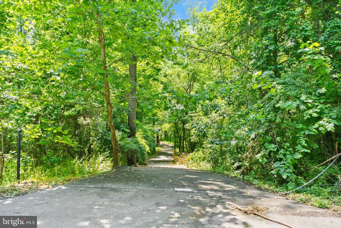 38620 Lime Kiln Road photo 78