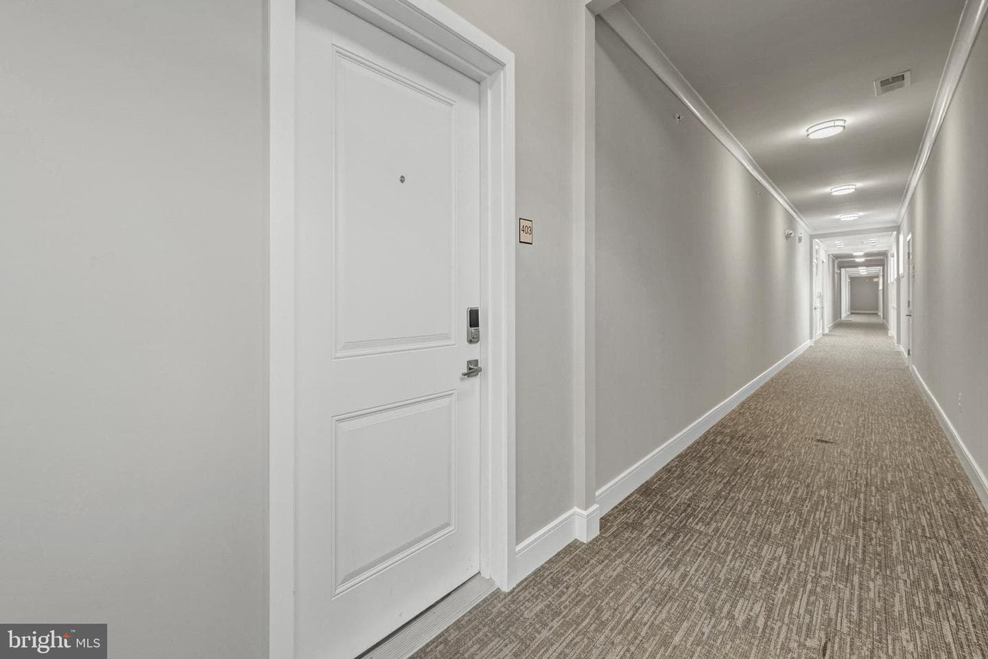 42874 Firefly Sonata Terrace #403 photo 5