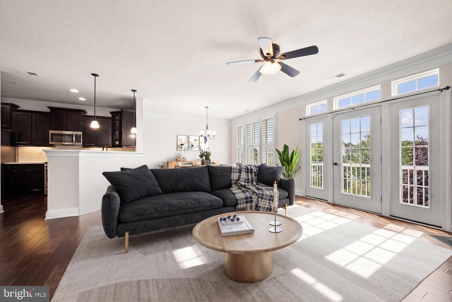 42572 Wildly Terrace photo 5