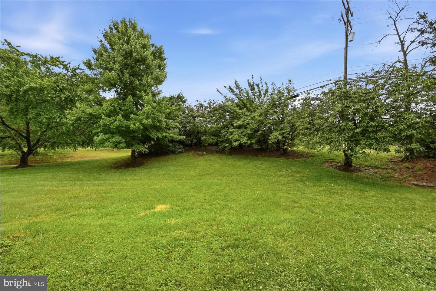 44084 Ferncliff Terrace photo 47