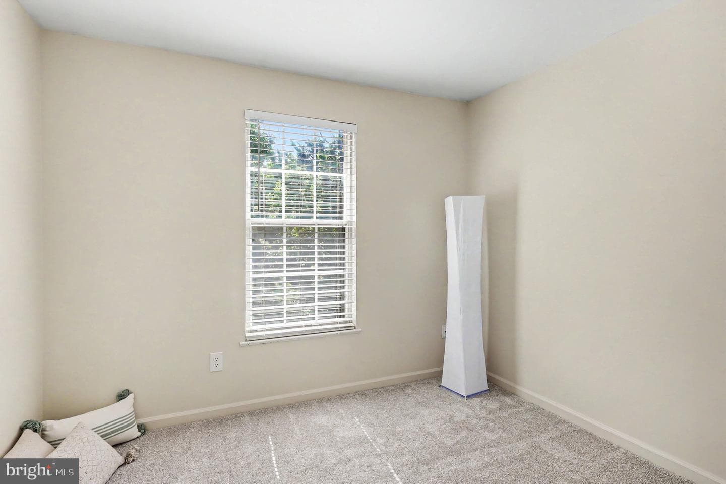 46572 Broadspear Terrace photo 19
