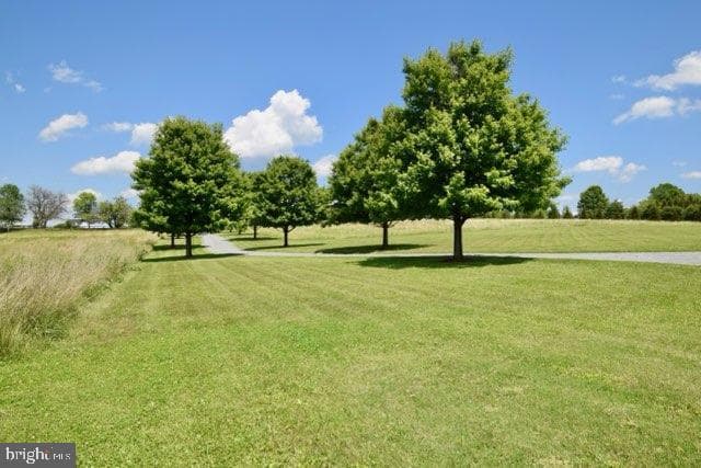 37813 Baker Mill Road photo 3