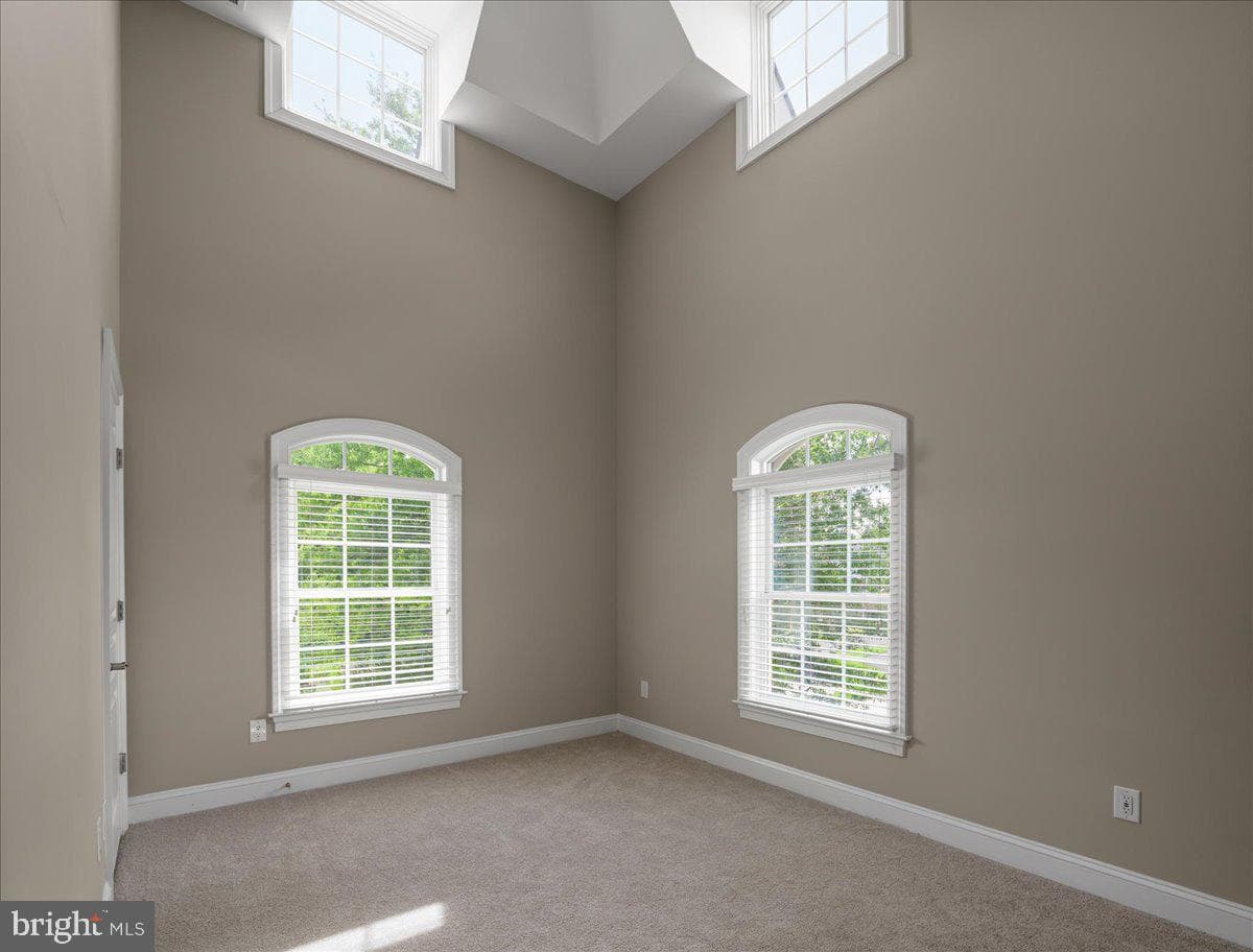 43464 Calphams Mill Court photo 46