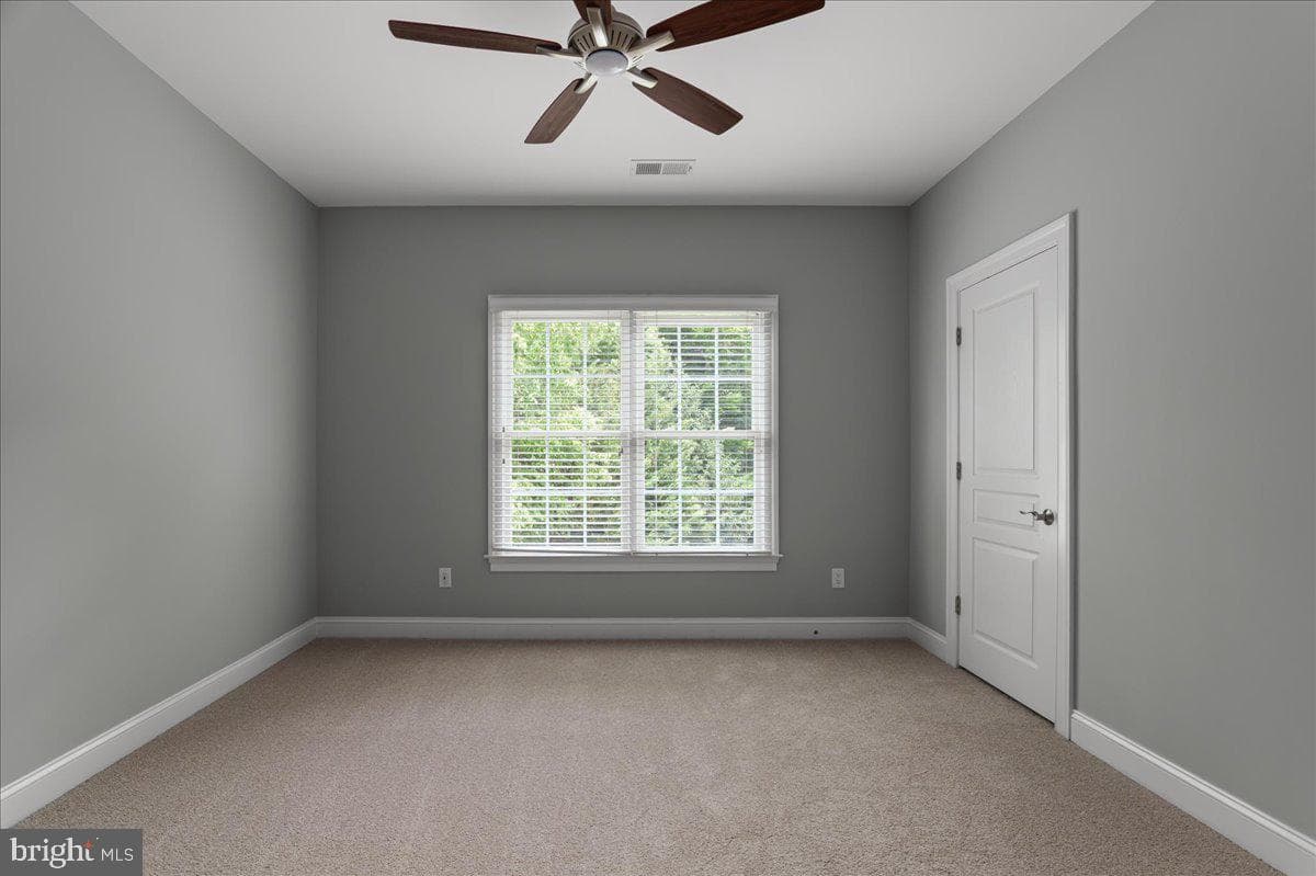 43464 Calphams Mill Court photo 48