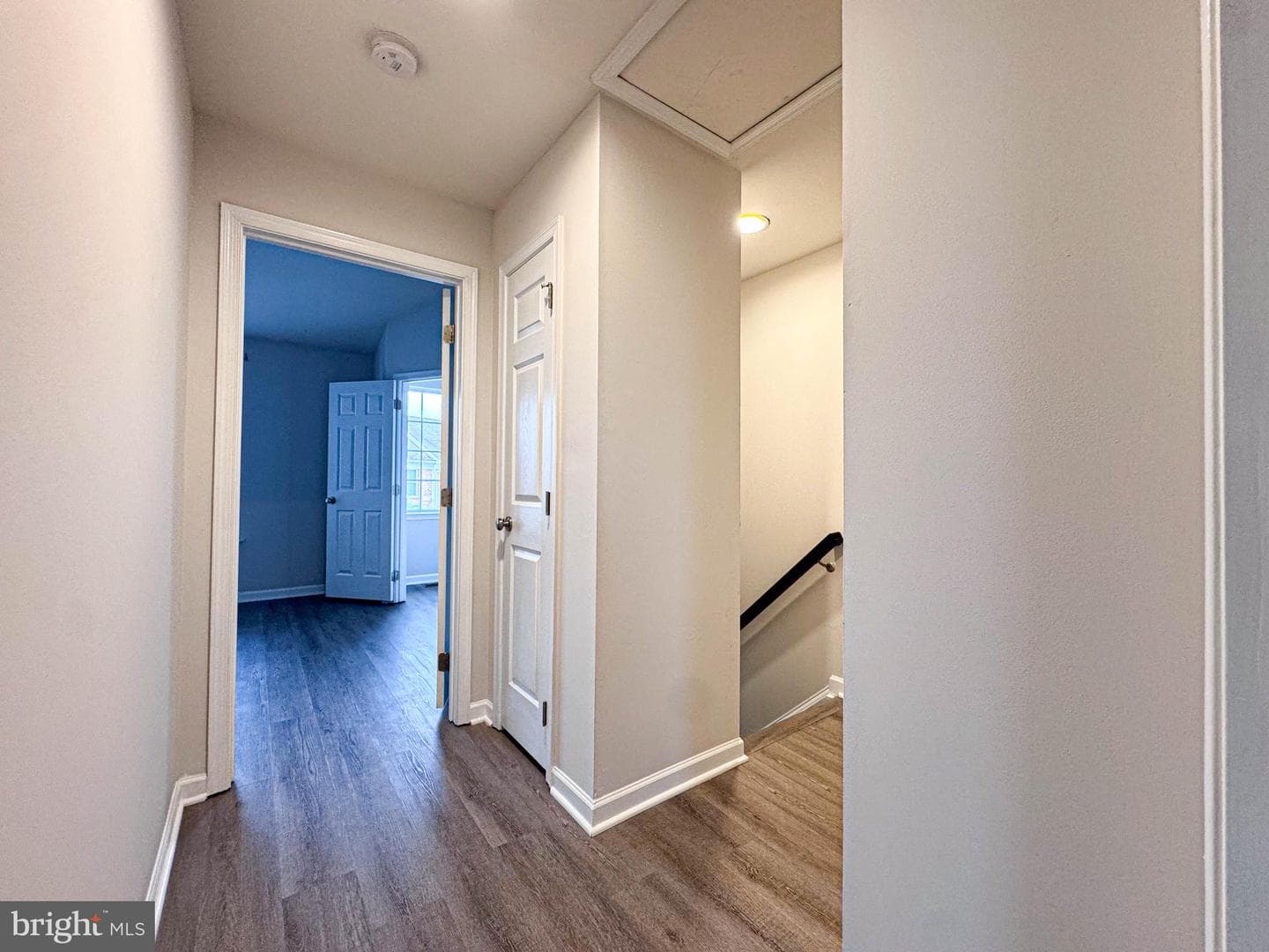 25154 Monteith Terrace photo 48