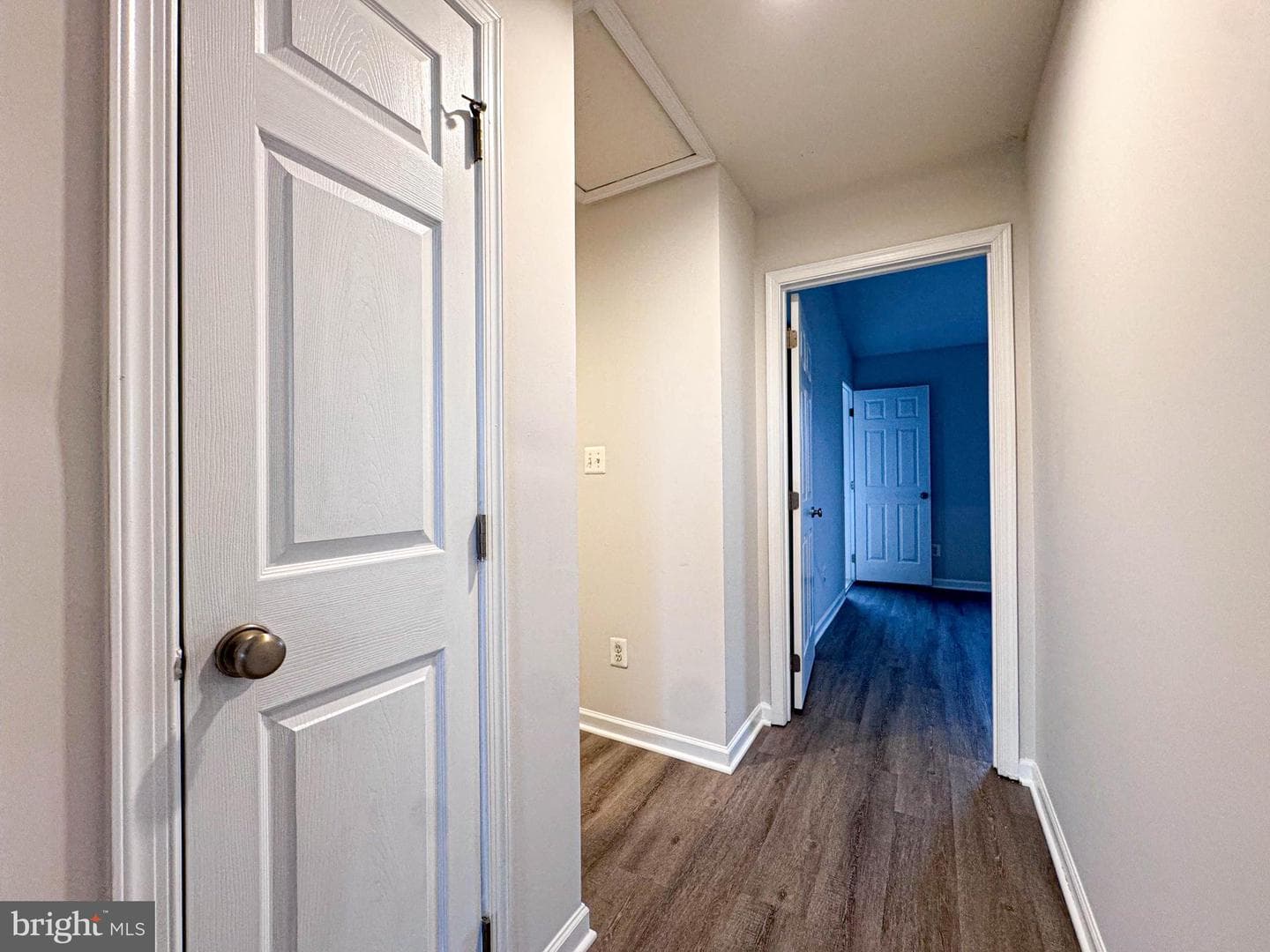 25154 Monteith Terrace photo 49