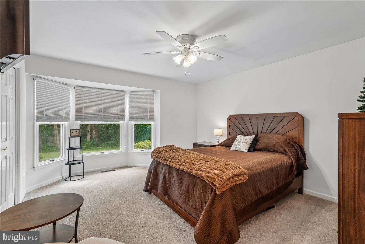 25501 Frosty Meadow Lane photo 41