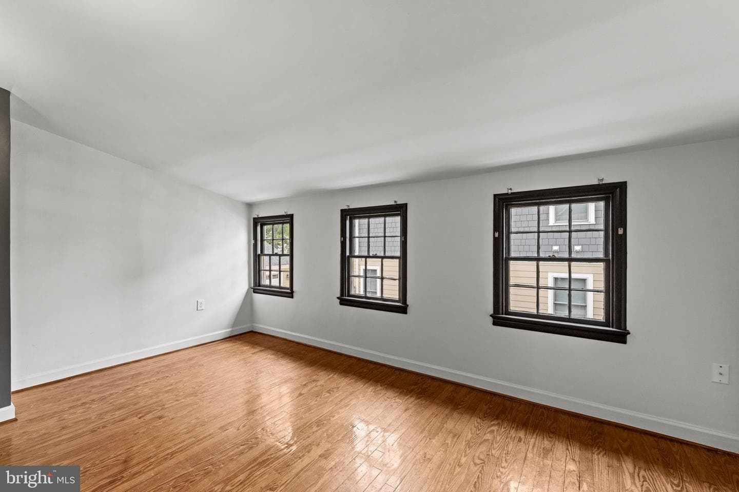 107 Walnut photo 18