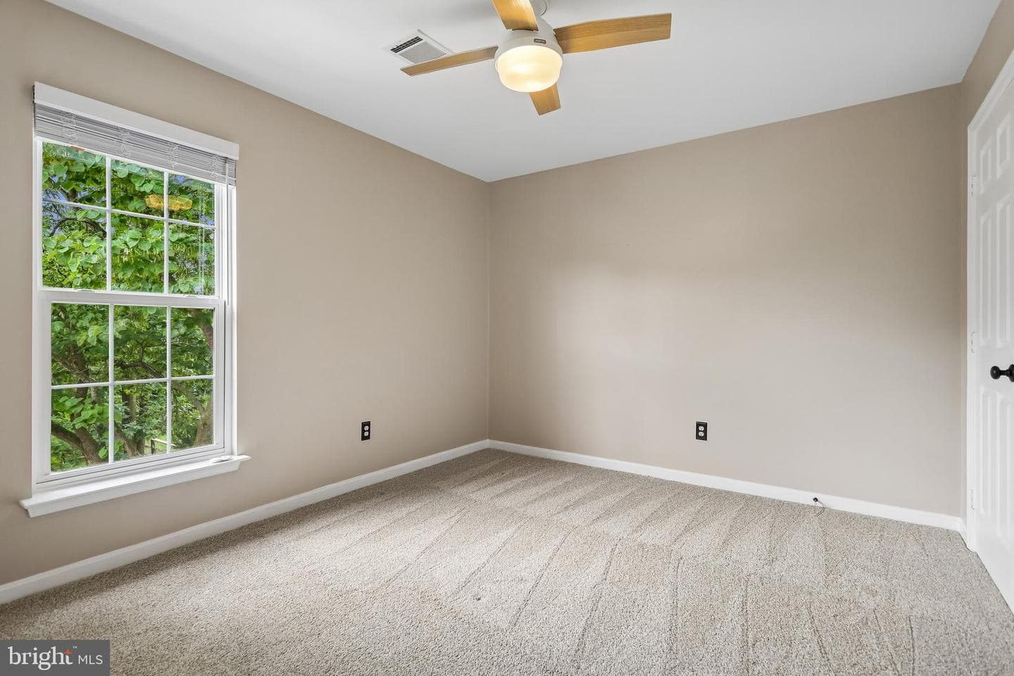43157 Malloch Place photo 24