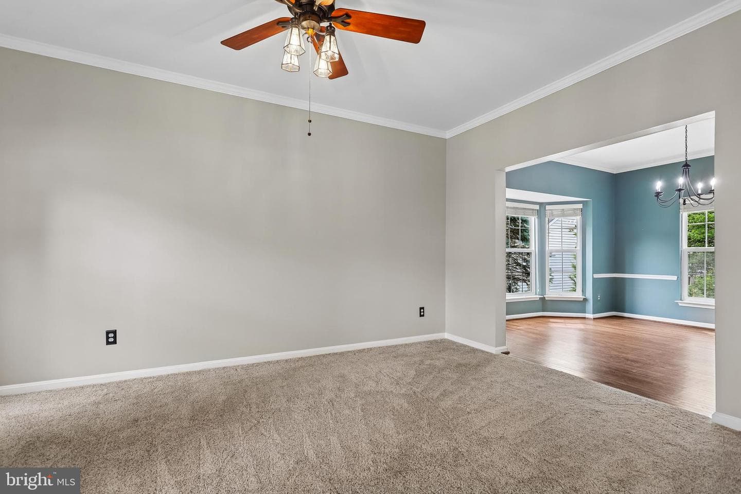 43157 Malloch Place photo 5
