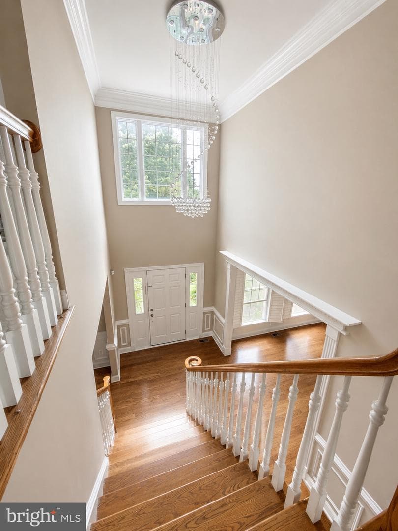43100 Addlestone Place photo 18