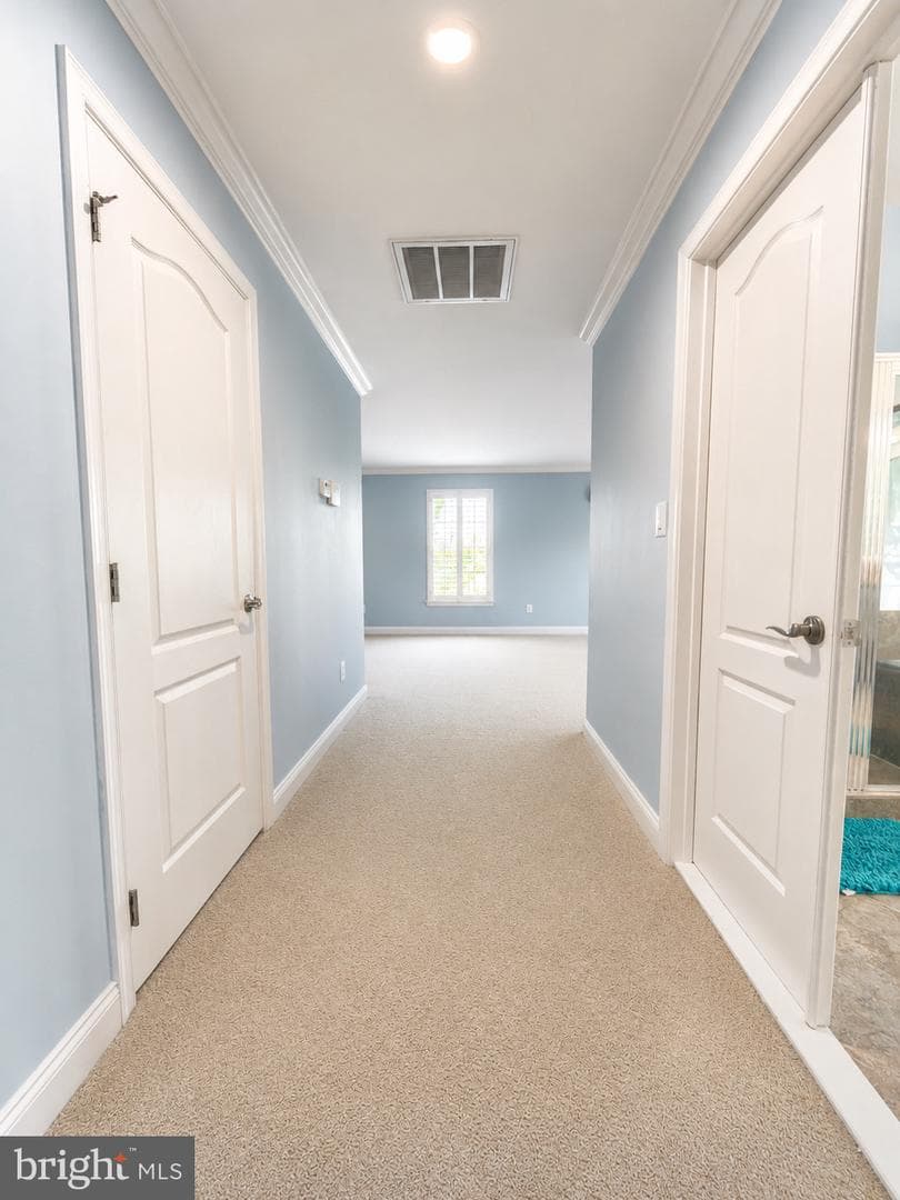 43100 Addlestone Place photo 21