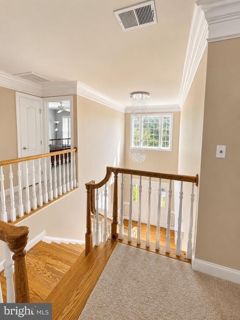 43100 Addlestone Place photo 37