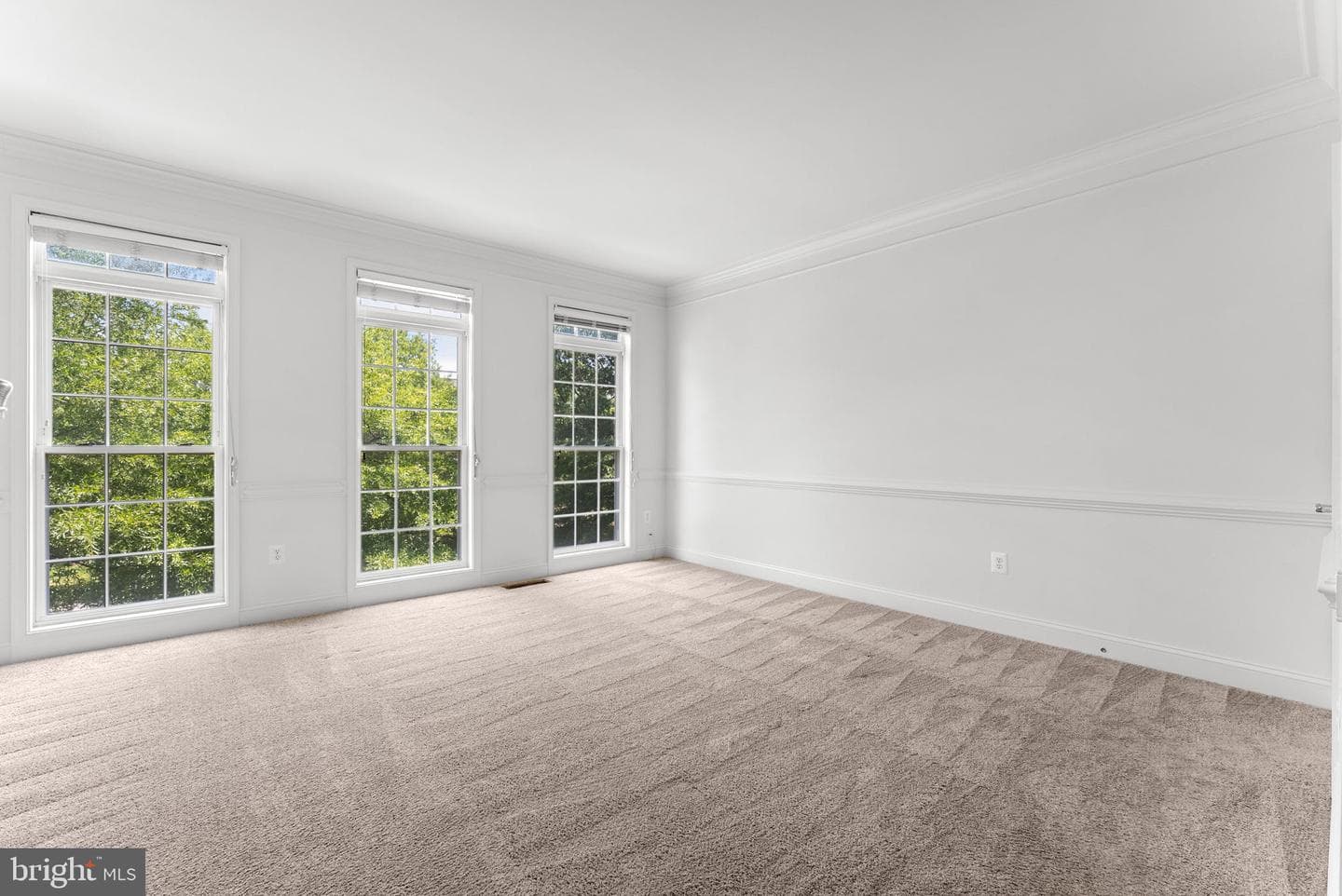 25806 Turlough Terrace photo 36