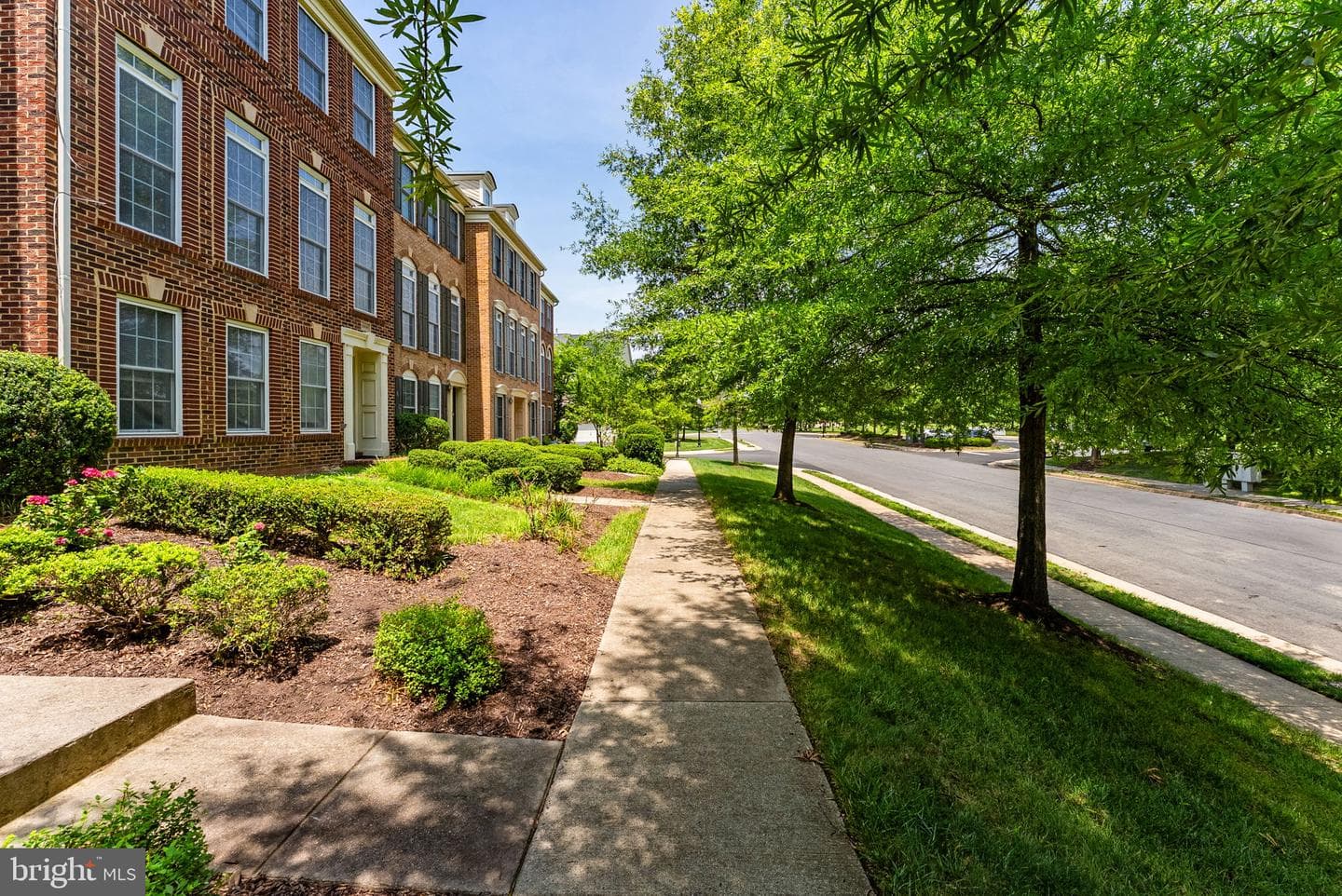 25806 Turlough Terrace photo 5