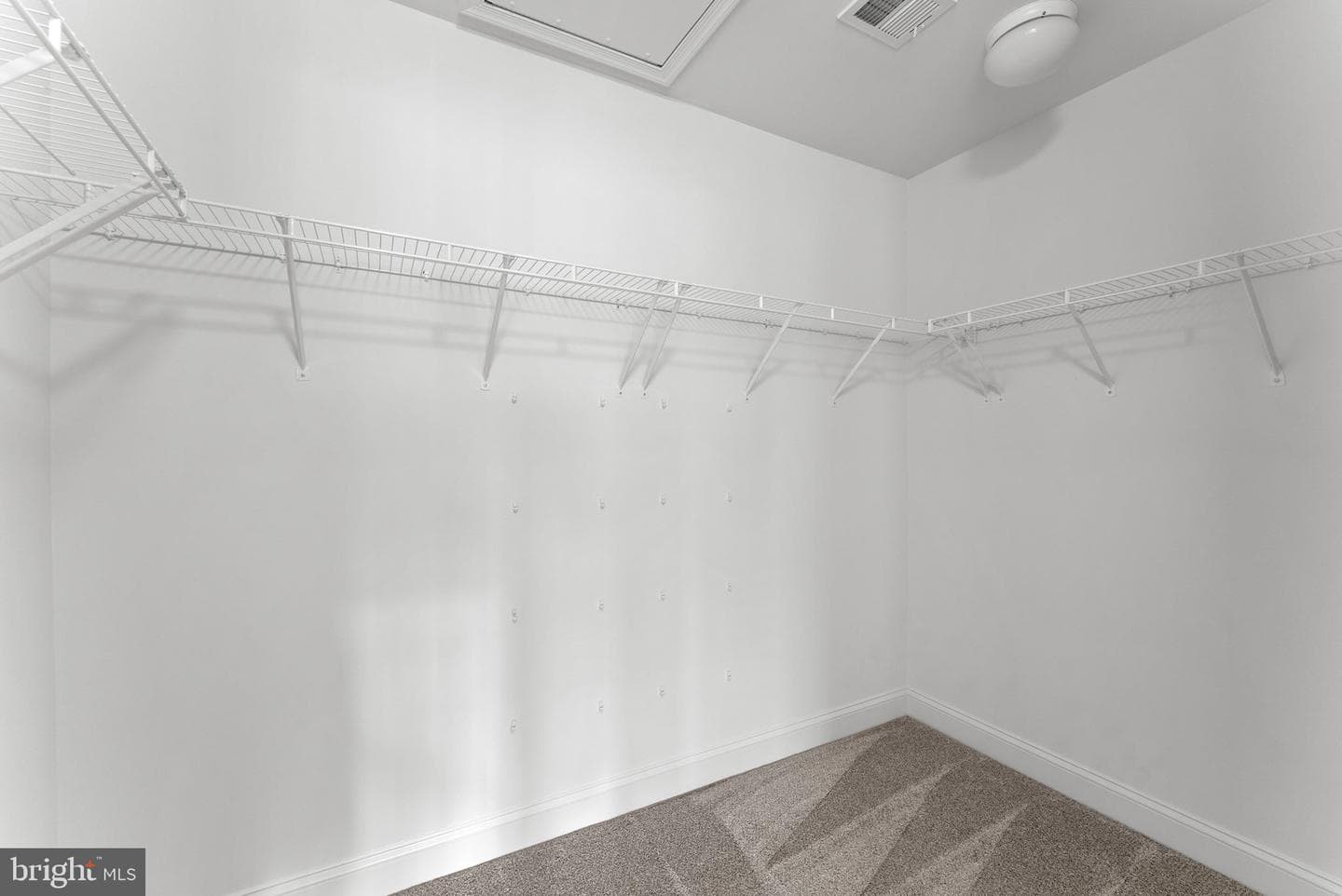 25806 Turlough Terrace photo 51
