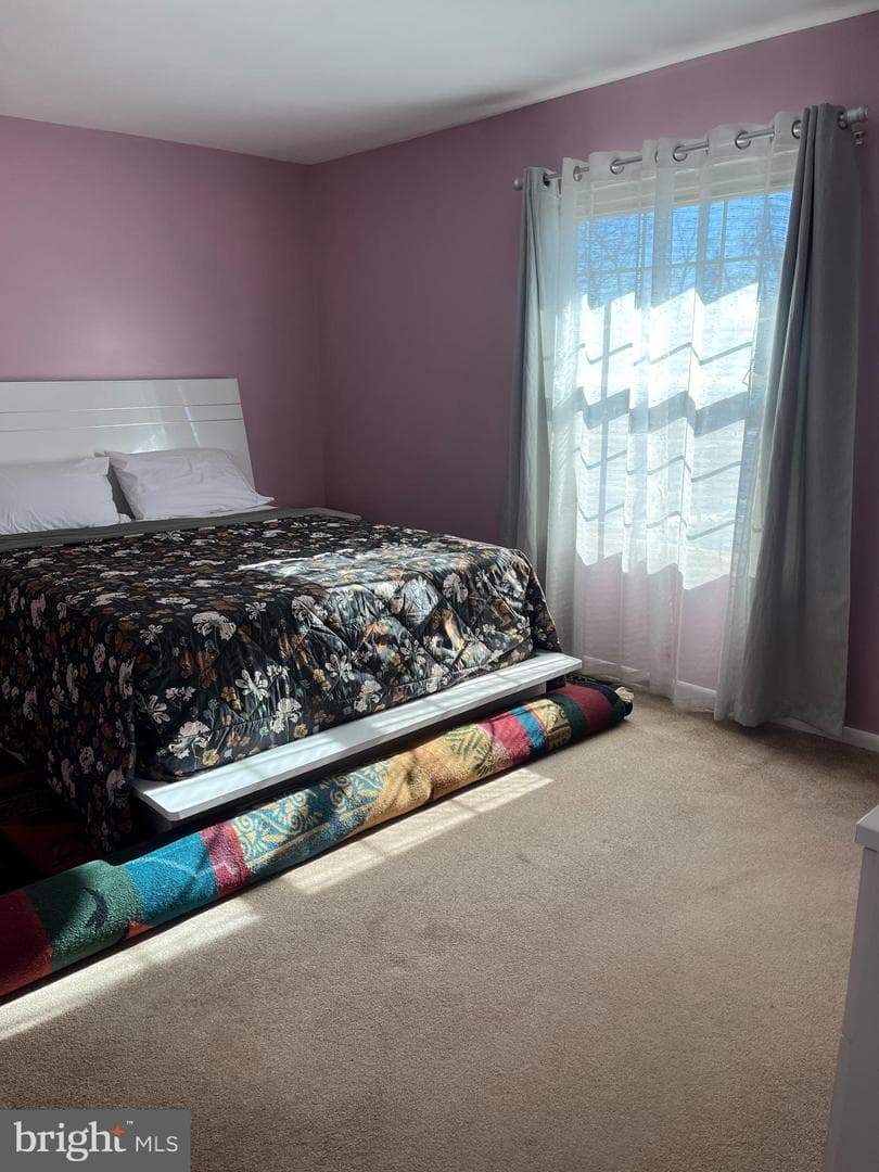 410 Hummer Court photo 22