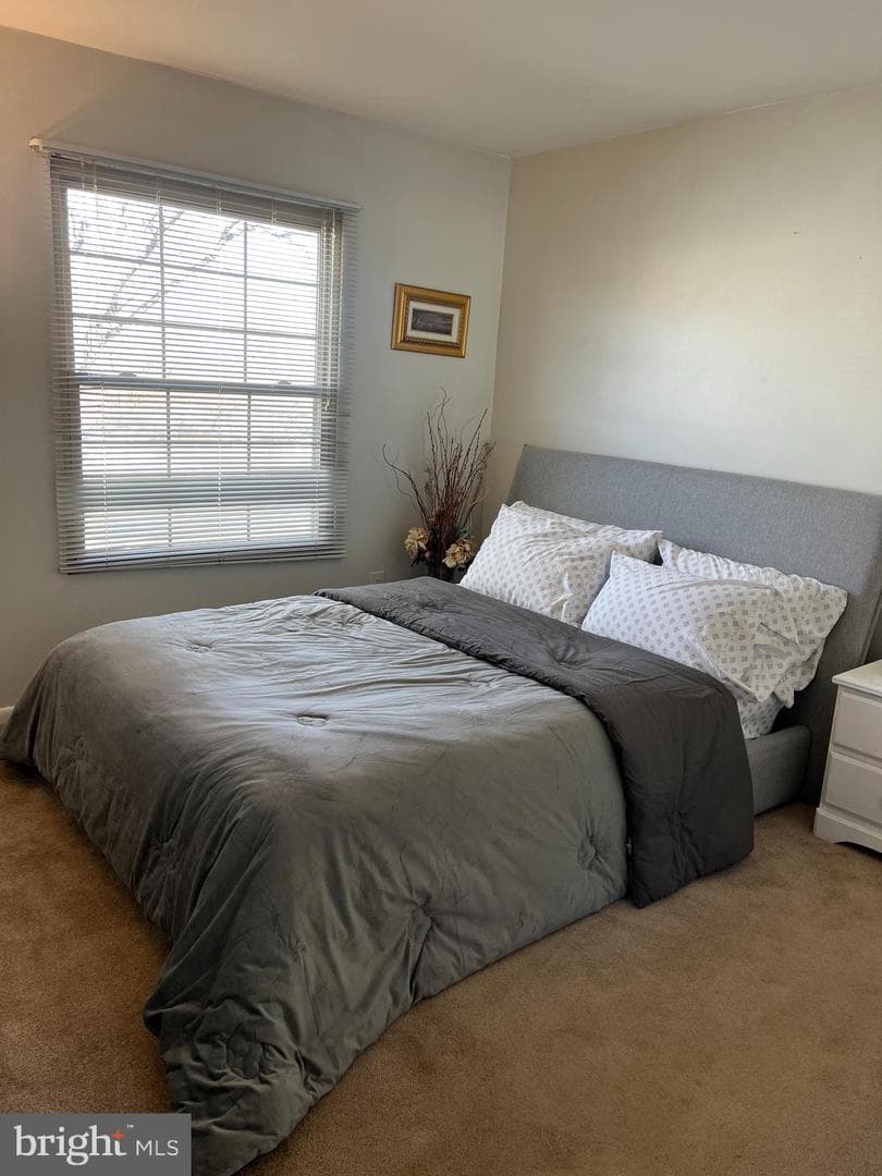 410 Hummer Court photo 24