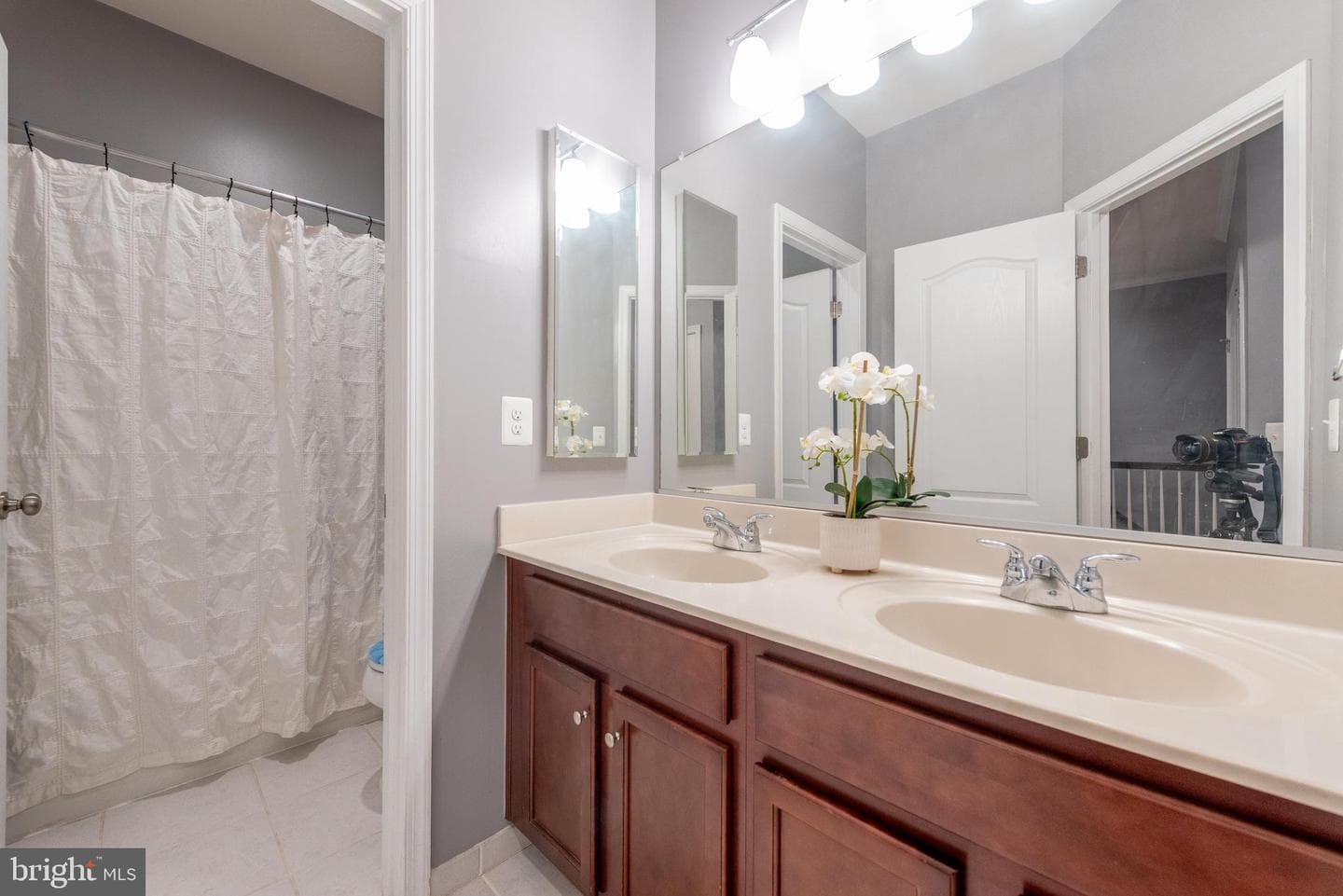 24701 Gracehill Terrace photo 28