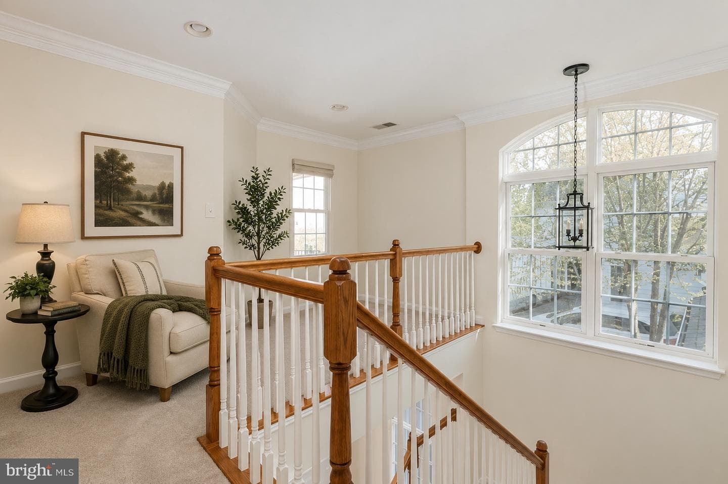 13583 Elysian Drive photo 13