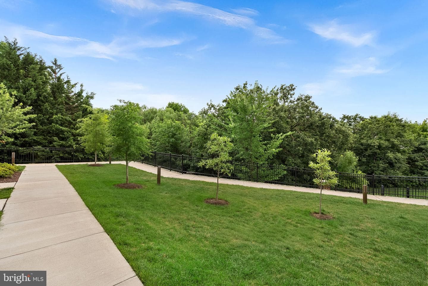 1012 Galena Terrace NE photo 4