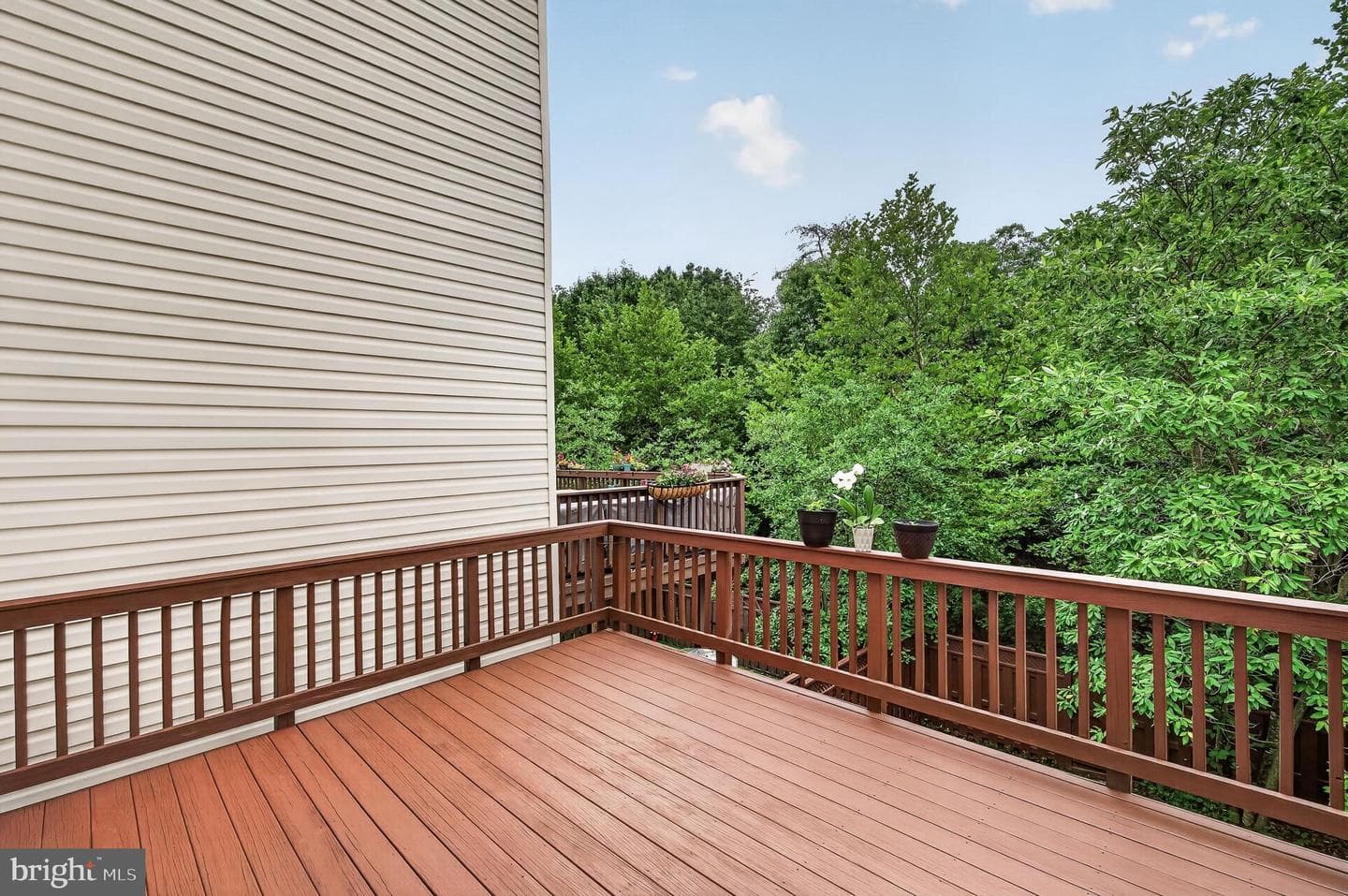 25192 Quartzite Terrace photo 32
