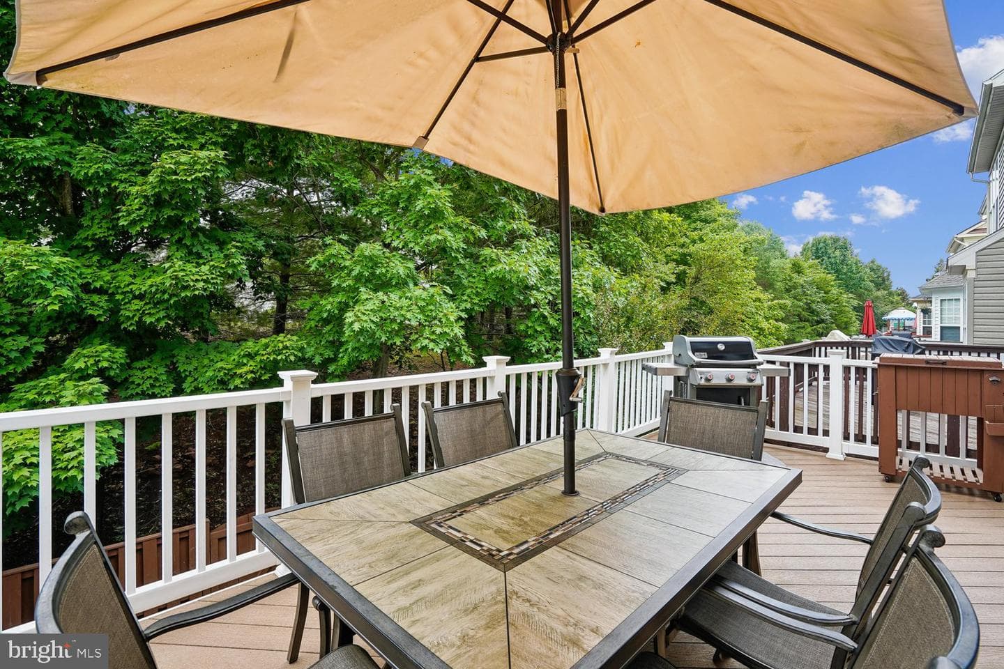 42998 Mill Race Terrace photo 47